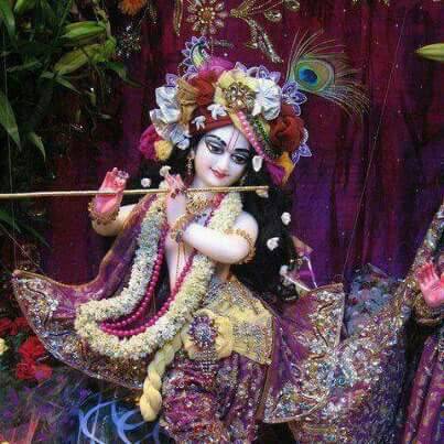 समाचार प्राइम24 अगले महीने से सभी प्रमुख केबल नेटवर्क होगा   