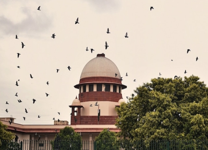 पराली जलाने की घटना हुई तो चीफ सेक्रेटरी से लेकर ग्राम पंचायत तक सभी होंगे दोषी : सुप्रीम कोर्ट