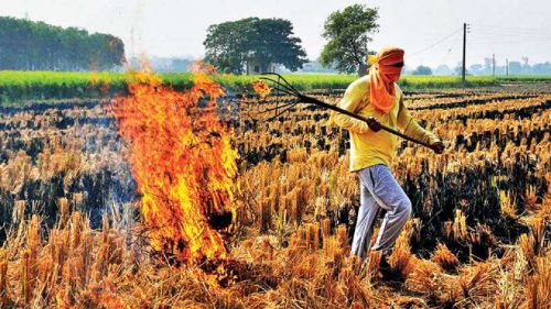 सुल्तानपुर पराली अथवा अन्य कृषि अपशिष्टों के जलाने पर होगी कड़ी कार्यवाही- जिलाधिकारी।