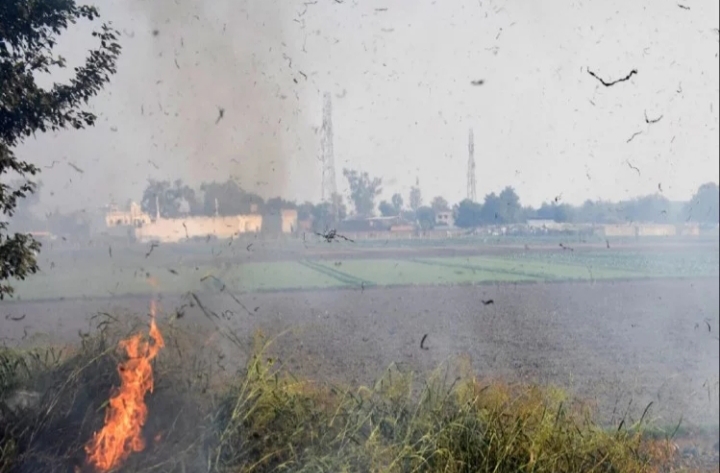 यूपीः पराली जलाने की ज्यादा घटनाओं वाले मथुरा सहित10 जिलों के डीएम से जवाब तलब