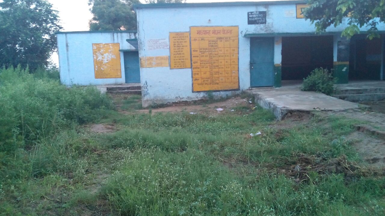 एक तरफ जहां सरकार स्वच्छ भारत अभियान चला रही है तो वहीँ एक विद्यालय सफाई न होने की वजहसे बना जा रहा जंगल