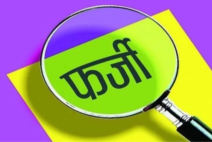 एसटीएफ ने 336 फर्जी शिक्षकों का किया खुलासा, डुप्लीकेट अंकपत्र-डिग्री से ली तैनाती