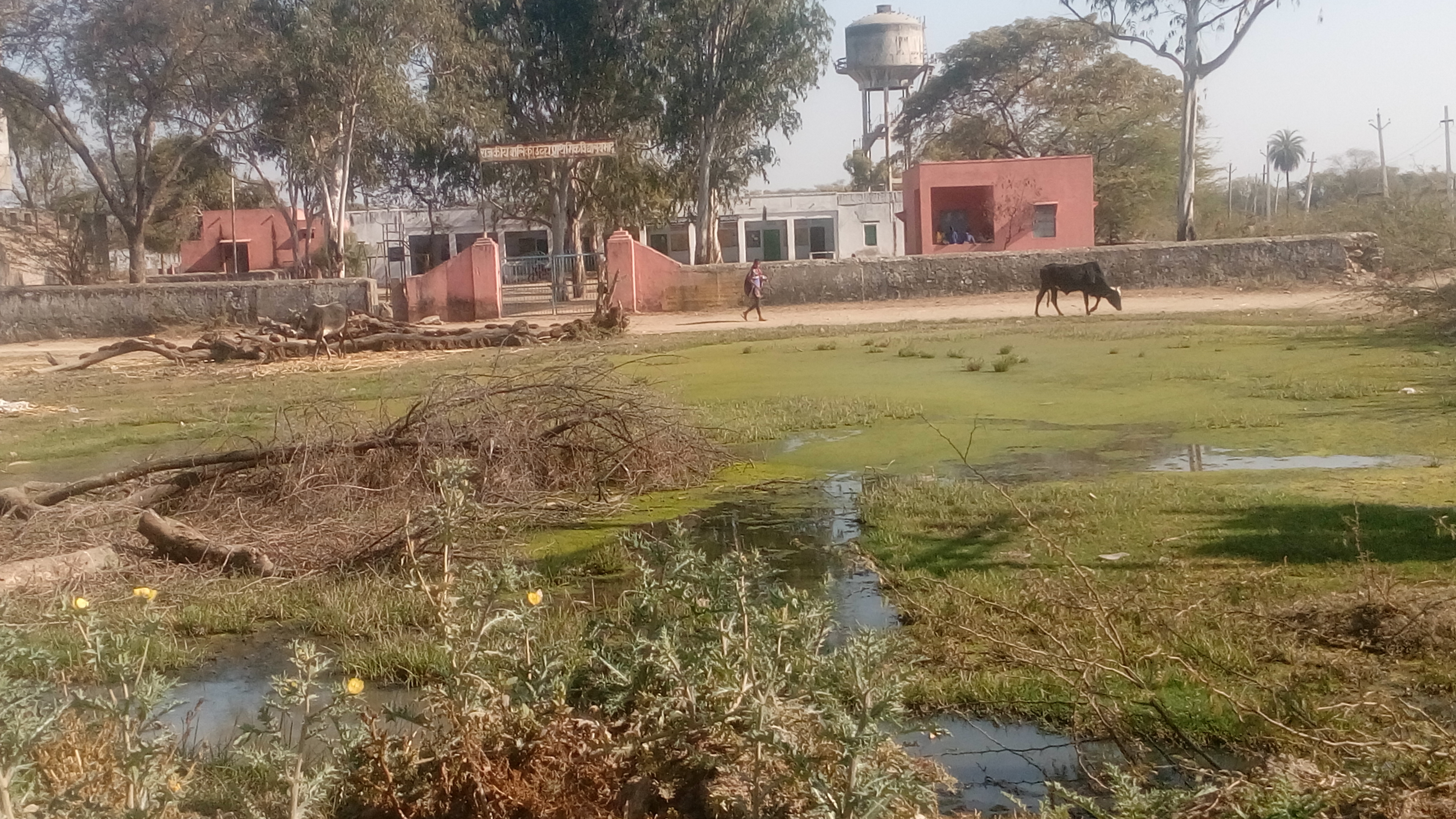  भीलवाड़ा मांडल राजकीय बालिका उच्च प्राथमिक विद्यालय भादू स्वच्छता को लेकर गंभीर हालात अभी तक पंचायत नाकाम 
