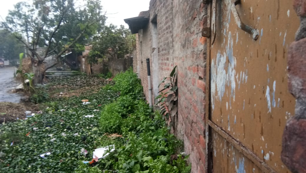 बगहा(प.चं.) :: कोरोना वायरस से संकट में है देश अन्य बीमारियों से जूझ रही जनता, नगर परिषद बगहा सो रहा है चैन की नींद