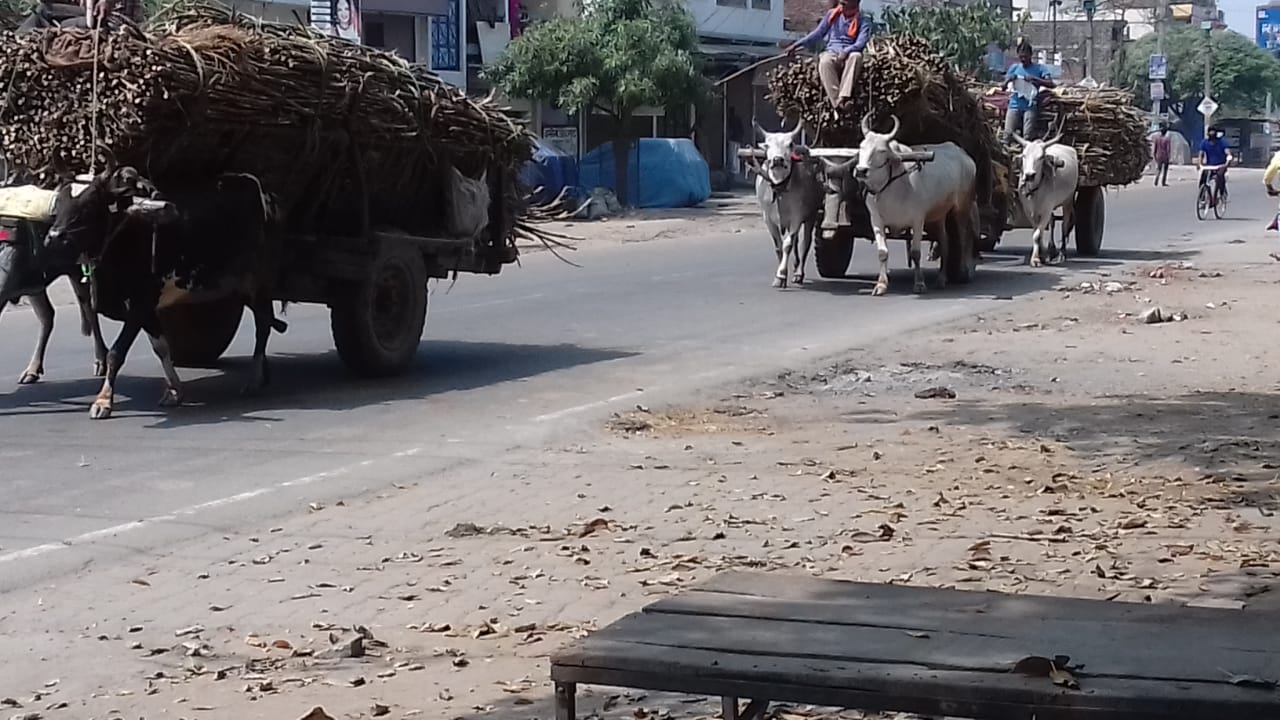 लाक डाउन कस्बा गोला में बजाज हिंदुस्तान मिल प्रबंधक तंत्र द्वारा लाक डाउन का अनु पालन का हो रहा उल्लंघन