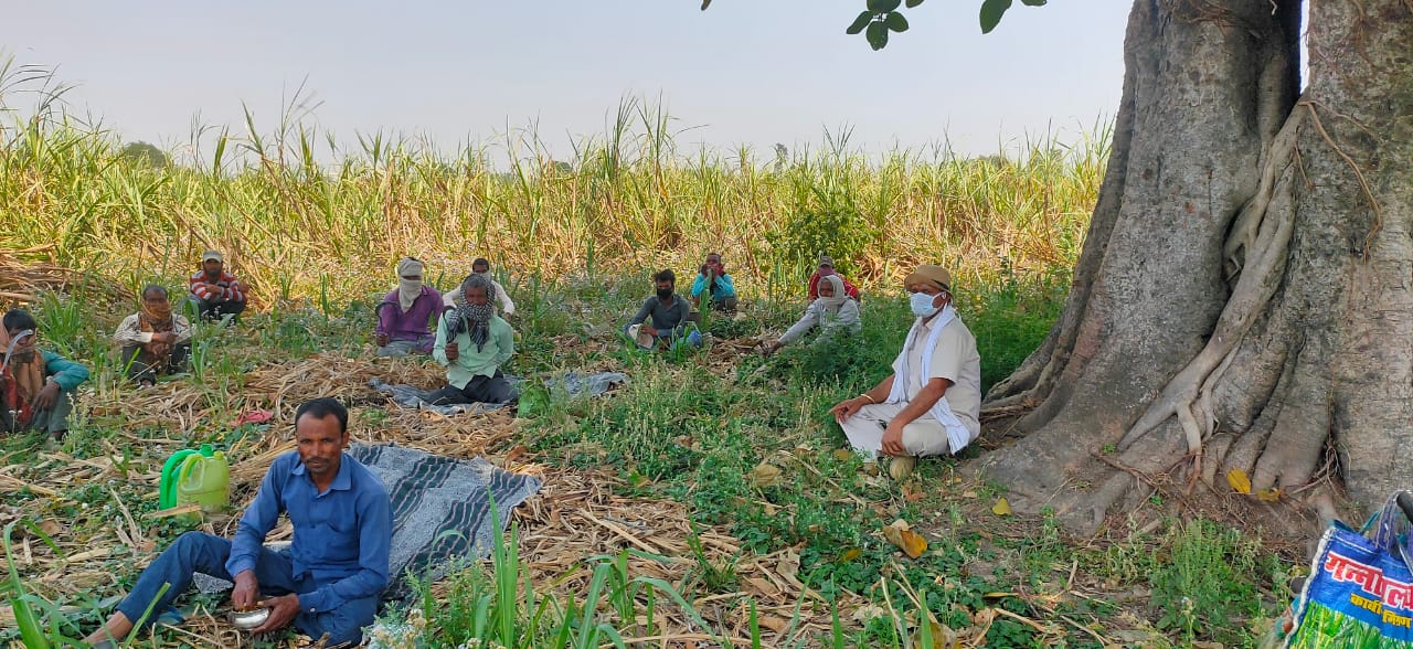 सामाजिक महिमा चलाकर संदेश 12 घंटा का उपवास रखकर मजदूरों के बीच जाकर जागरूकता फैलाने का प्रयास किया