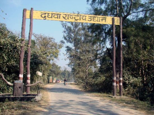 नए साल के जश्न के लिए तैयार दुधवा