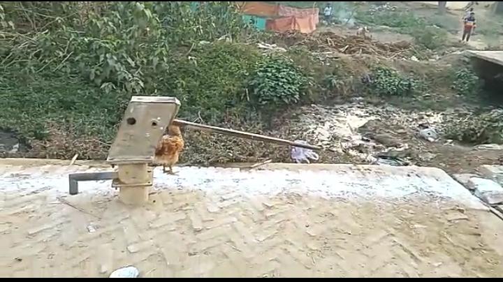 छजलेट के  बीबीपुर गांव में ग्रामीणों के लोगों ने नल खराब पड़ा है
