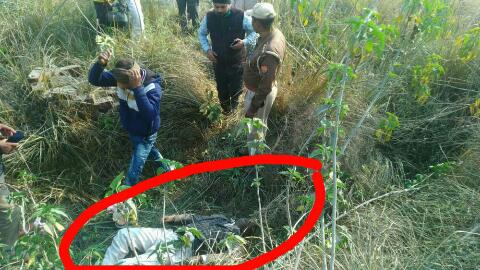 *दिबियापुर औरेया मार्ग पर पीबीआरपी स्कूल के निकट मिला युवक का शव*