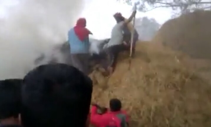 आग लगने से धान की पूंज जलकर हुआ खाक