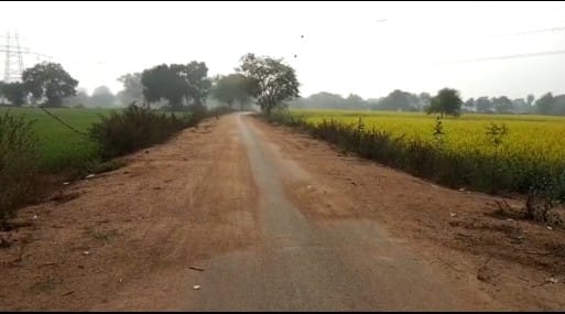 पी०डब्लू०डी० द्वारा करवाया गया घटिया सड़क का निर्माण।