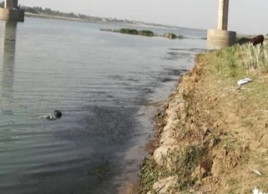 पूर्व जस्टिस प्रकाश टाटिया व वैज्ञानिक अजय प्रताप सिंह पहुँचें प्रदेश भर में प्रदूषित बांध के नाम मशहूर नेहडा  बांध पर पूर्व जस्टिस प्रकाश टाटिया व वैज