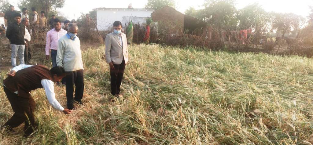 आकस्मिक वर्षा से हुई फसल क्षतिग्रस्त ,कलेक्टर ने लिया जायजा। ग्राम देवपुर, पीथम, भेलदा का निरीक्षण किया , सर्वे टीम गठित करने के निर्देश।