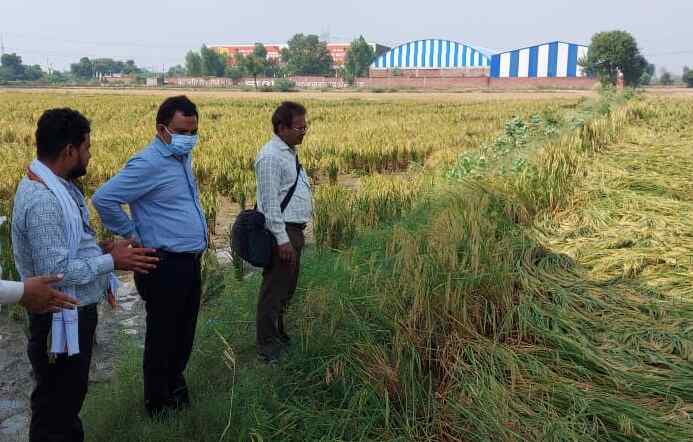         बेमौसम वर्षा से नष्ट हुई फसल का सर्वो करने पहुॅचे एसडीएम 