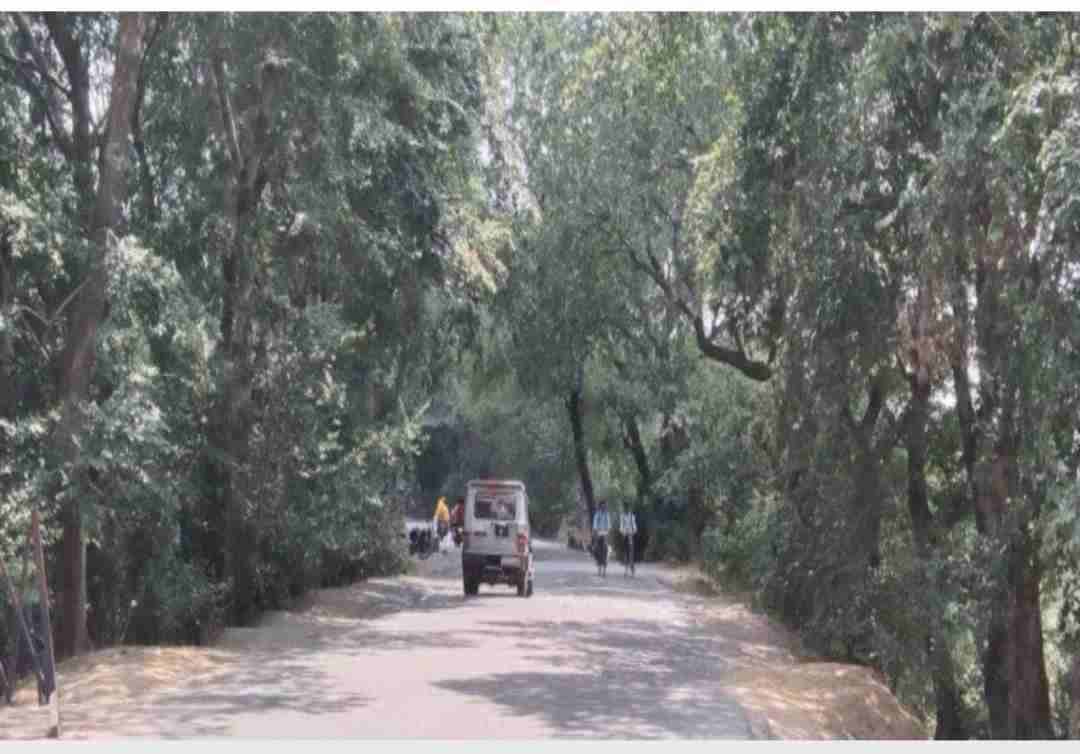 फर्रुखाबादः बरेली-इटावा राजमार्ग को चौड़ा करने के लिए कटेंगे 53 हजार पेड़