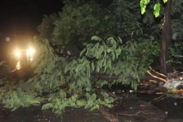 उत्तर भारत में आंधी-तूफान से भारी तबाहीः राजस्थान में 22, यूपी में 39 की मौत     