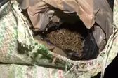 वन विभाग टीम ने एक कंटेनर से भारी मात्रा में अवैध गांजा और बेशकीमती लकड़ी बरामद की 