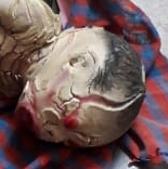  *एक साल में तीन-तीन जन्मे क्लोडियन बेबी