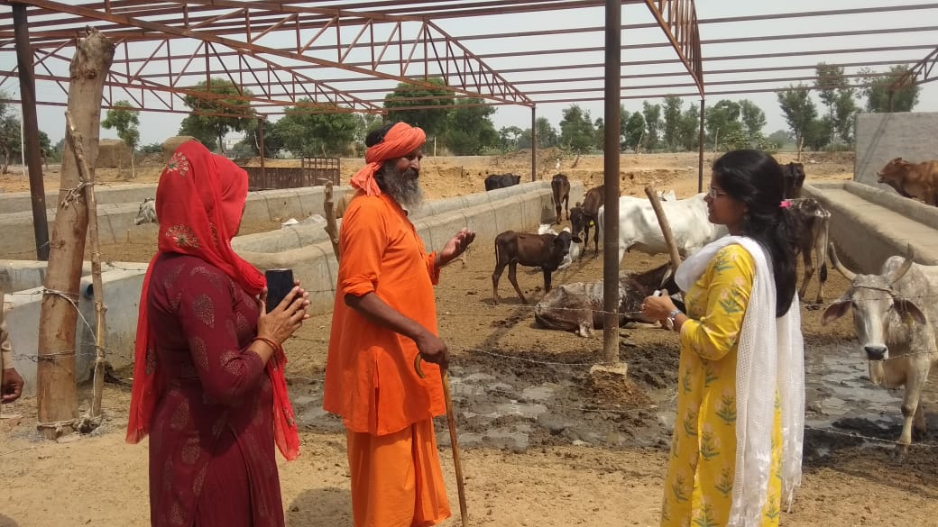 एसडीएम इगलास ने किया मोहनपुर गौशाला का निरीक्षण,सभी व्यवस्थाए बेहतर करने के दिये निर्देश