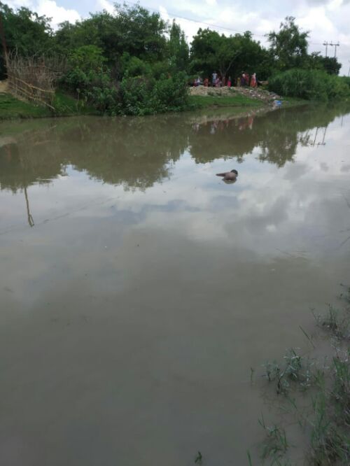 इमामगंज नहर में नाबालिक बालिका कि लाश मिलने से क्षेत्र में फैला सन्नाटा। रिपोर्ट :- पंकज कुमार सिंह।