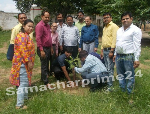 मथुरा में उत्तर प्रदेश अपराध निरोधक समिति के पदाधिकारियों ने  जिला कारागार  में किया  वृक्षारोपण।